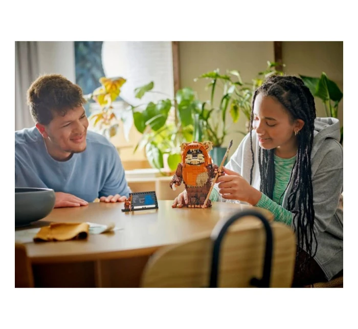 LEGO Star Wars 75430 Ewokovská bránka