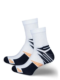 Pánske ponožky ACTIVE 0224.051