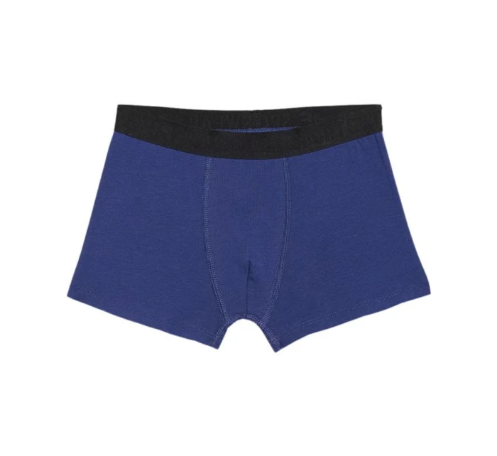 Boxerky 4F M045 2 Jr 4FJWMM00UBXSM045 92S