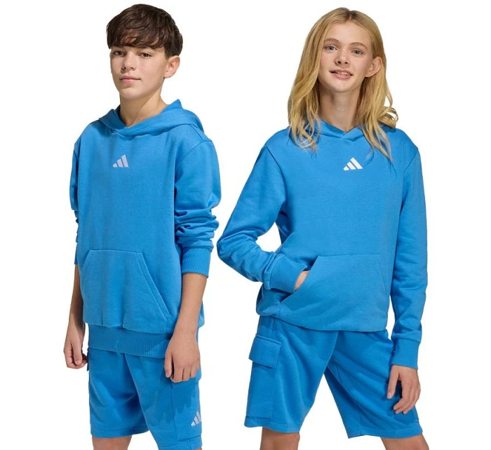 Dětská mikina Essentials s kapucí modrá model 22119445 - ADIDAS