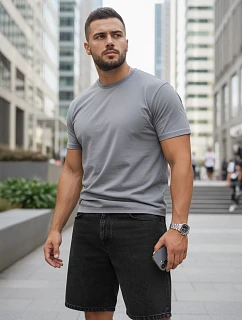 Pánske klasické sivé tričko FashionStreet RX5675