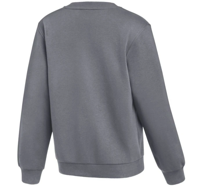 Nike Park 26 Fleece Crew Grey IB1188 071