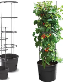 DONICZKA DO  Z model 21831732