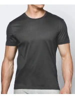 Pánské tričko model 20839734 - Atlantic