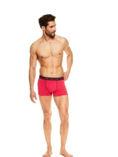 BOKSERKI MĘSKIE model 18727955 - RENE VILARD