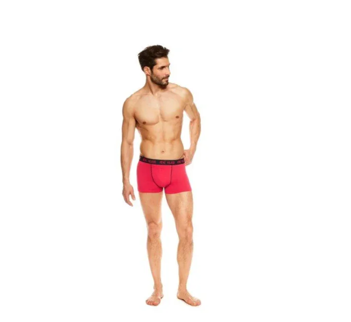 PÁNSKE BOXERKY JAVA RENE VILARD 37188