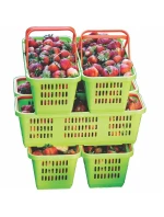 NA I  Z model 21831944