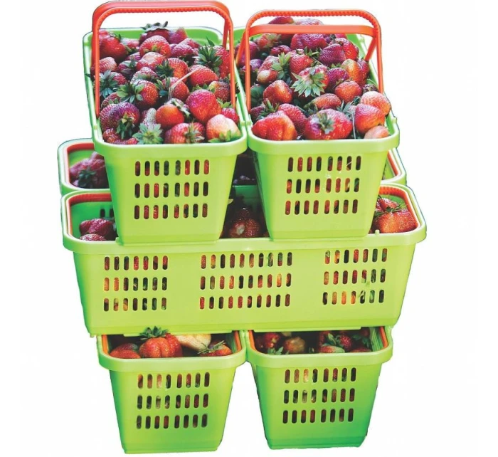 NA I  Z model 21831944