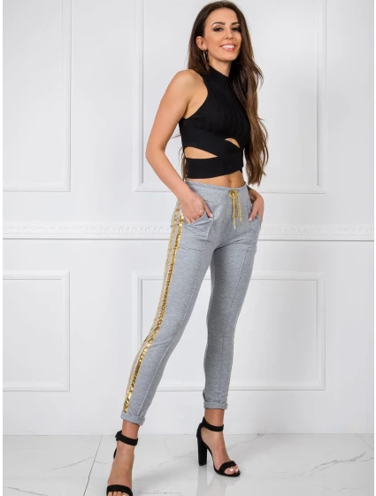 Tepláky RV DR 5408.28P sivá