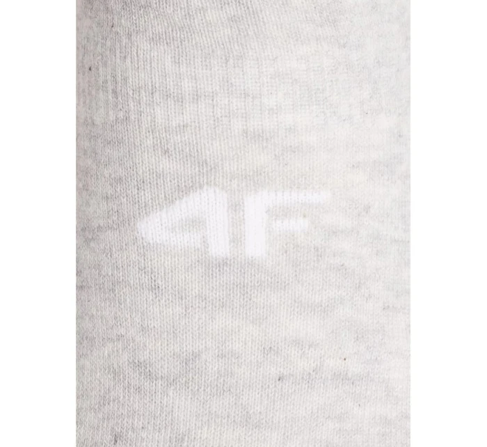 Pánské ponožky  model 21479851 - 4F