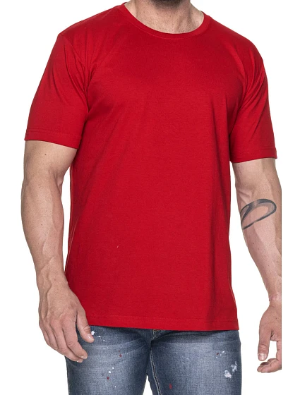 Pánské tričko Tshirt Heavy model 16110509 - PROMOSTARS