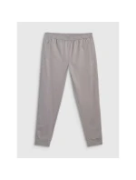 Spodnie męskie model 21460734 - 4F Spodnie męskie model 21460734 - 4F