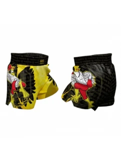 Tréninkové šortky JUNIOR model 21347272 - IRON PRO