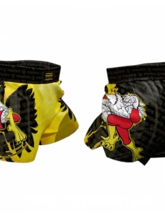 Tréninkové šortky JUNIOR model 21347272