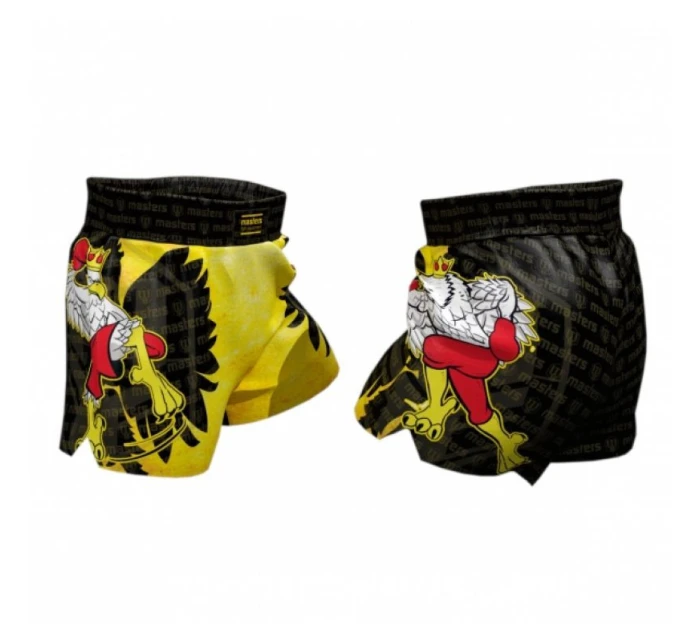 Tréninkové šortky JUNIOR model 21347272 - IRON PRO