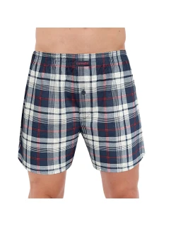 Pánské trenýrky model 20896818 Comfort plus - Cornette