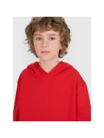 Mikina JUNIOR model 21735848 - 4F
