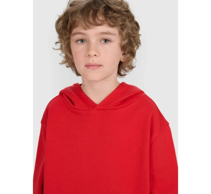 Mikina JUNIOR model 21735848 - 4F