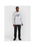 Pánska mikina 4F 4FWMM00TSWSM1766-27M s pánskymi motívmi Pánska mikina 4F 4FWMM00TSWSM1766-27M s pánskymi motívmi