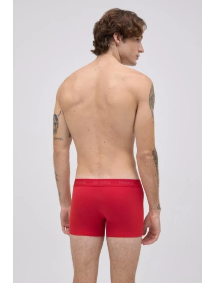 PÁNSKÉ VÁNOČNÍ BOXERKY model 21482150 - Ysabel Mora