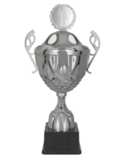 Stříbrný kovový hrnek s víčkem model 21827360