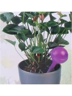 AUTOMATICKÝ DÁVKOVAČ VODY S GUĽÔČKAMI 250 ML FIALOVÝ