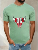 Pánské světle zelené tričko Dstreet model 21965073 - FashionStreet