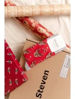 Pánské vánoční ponožky model 21327636 4146 - Steven Pánské vánoční ponožky model 21327636 4146 - Steven