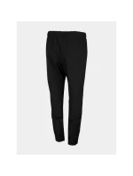 Dámske trekingové nohavice 4F H4L22-SPDTR064 women