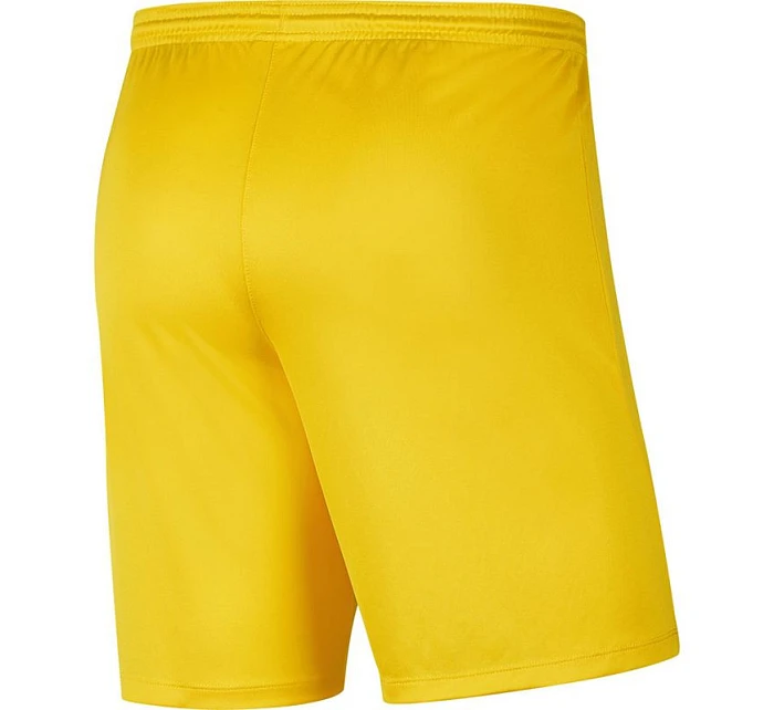 Pánské šortky Dry Park III NB K M model 15976377 719 - NIKE