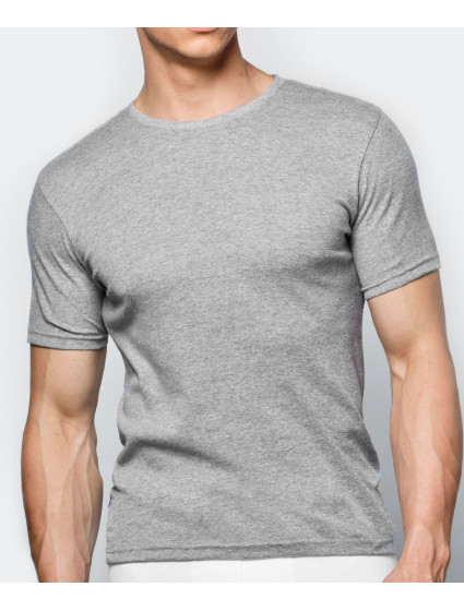 Pánske tričko s krátkym rukávom ATLANTIC - svetlosivé