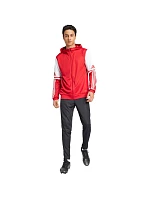 Mikina adidas Squadra 25 Hoody M JD2990 muži
