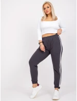 Tepláky RV DR 6643.95 grafit