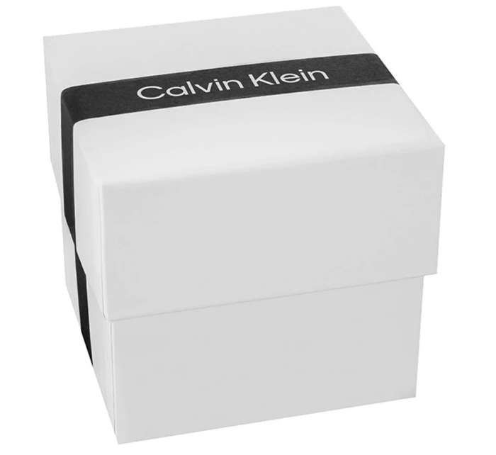 CALVIN KLEIN CK Flex Pánske hodinky 25200467 + BOX