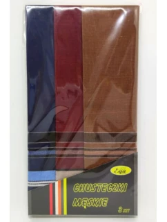 Pánské kapesníky  kusy model 21096977 - EGA