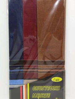 Pánske vreckovky CH-017 kpl=3 ks.