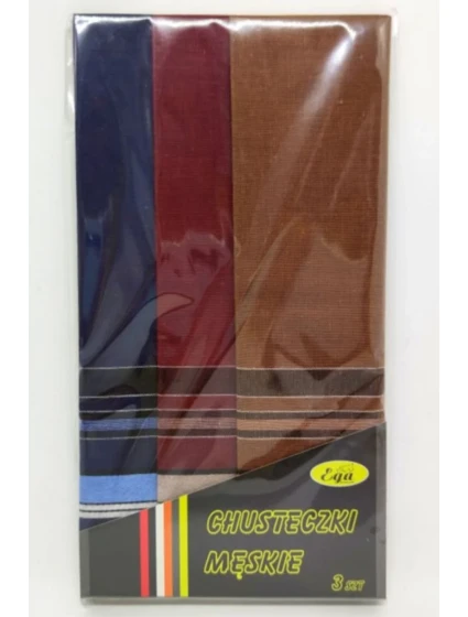 Pánské kapesníky  kusy model 21096977 - EGA