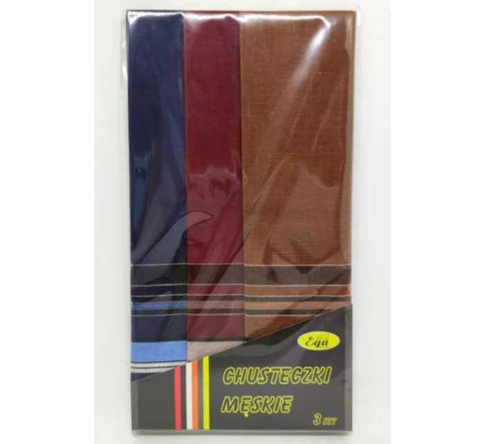 Pánské kapesníky  kusy model 21096977 - EGA