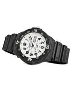 Hodinky model 21804309 + krabice - CASIO Hodinky model 21804309 + krabice - CASIO