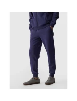 Kalhoty M model 21425801 - 4F