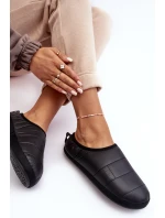 Dámské pantofle Big Star model 21637527 Černé - Big Star Shoes