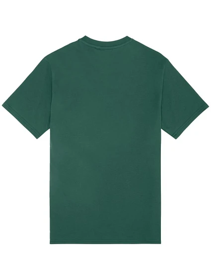 Pánské tričko Regular Tee green pánské model 22061974 - Fila Pánské tričko Regular Tee green pánské model 22061974 - Fila