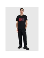 Pánske tričko s potlačou 4F 4FRAW25TTSHM3224-20S