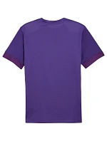 teamGoal Jersey M 10 pánské model 21283923 - Puma