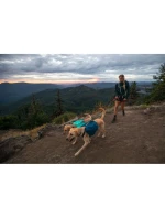 Front Day Pack - blue model 21717244 Front Day Pack - blue model 21717244