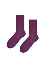 Pánské ponožky model 5790387 - Steven