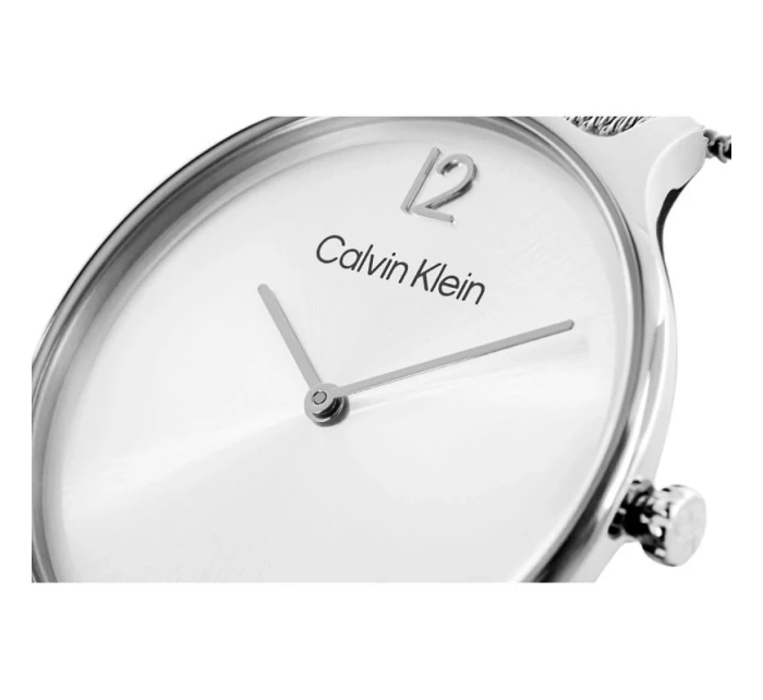 Dámské hodinky Timeless Mesh model 21806521 + BOX dámské - Calvin Klein Dámské hodinky Timeless Mesh model 21806521 + BOX dámské - Calvin Klein