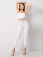 Tepláky RV DR 6120.03P svetlo šedá