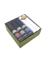 Pánské kapesníky model 20606609 A'5 - EGA