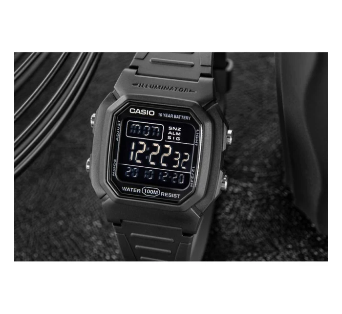 Pánské hodinky model 21806027 + krabice - CASIO